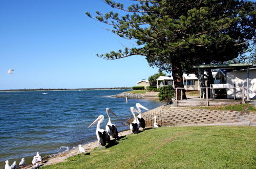 Photo 55 - Broadwater Tourist Park