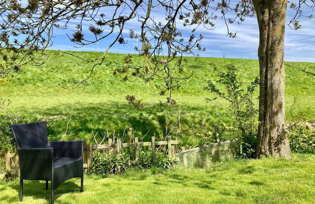 6 Pers Sunny House With Equipped Terrace Behind a Dike at Lauwersmeer - Foto 7