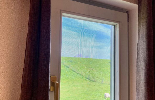 6 Pers Sunny House With Equipped Terrace Behind a Dike at Lauwersmeer - Foto 38