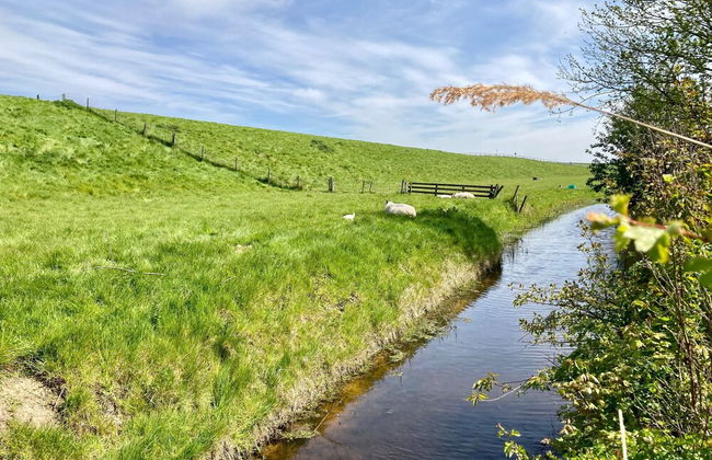 6 Pers Sunny House With Equipped Terrace Behind a Dike at Lauwersmeer - Foto 22