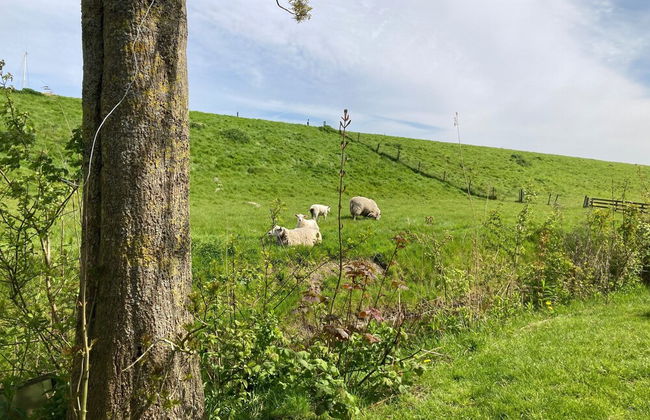 6 Pers Sunny House With Equipped Terrace Behind a Dike at Lauwersmeer - Foto 21