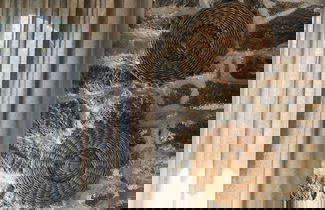 Photo 4 - Casa Arrigo