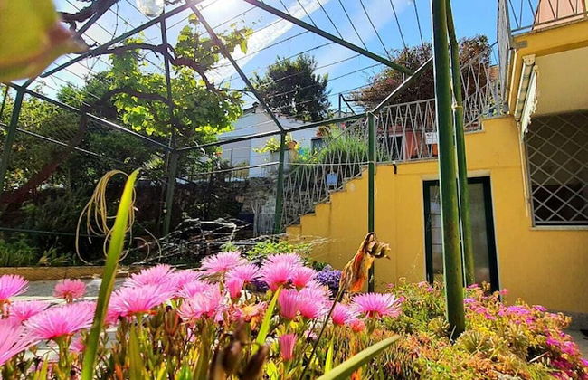 Villa Mimosa - Foto 18