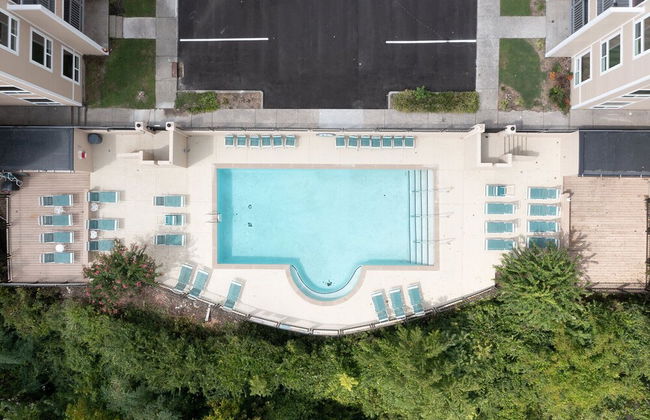 The Harrison - Foto 23