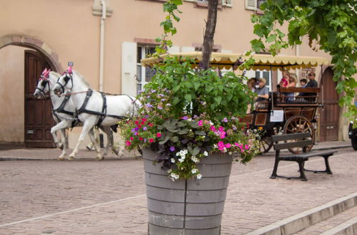 Photo 48 - My Sweet Homes - Little Venice & Bartholdi SPA