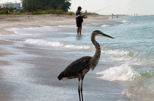 Photo 49 - Casa Del Mar Longboat Key