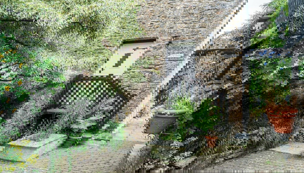 Imagem principal