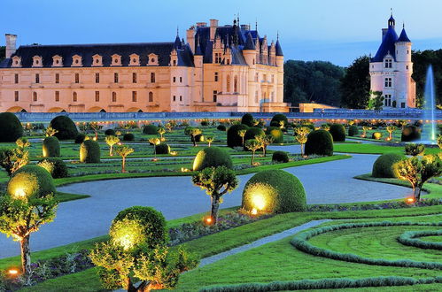 Foto 41 - VVF Amboise Les Châteaux de la Loire