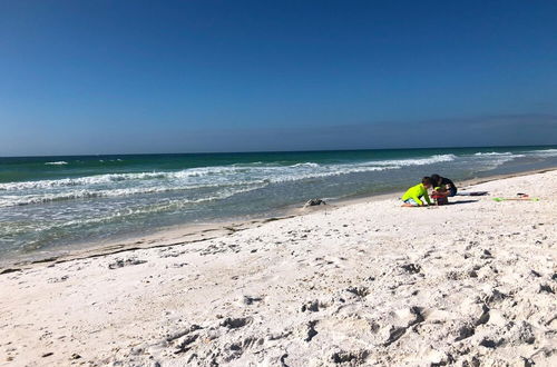 Photo 13 - Anna Maria Island Beach Palms 6B