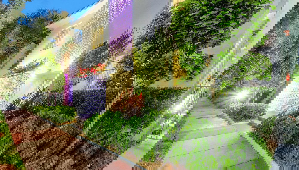 Image principale