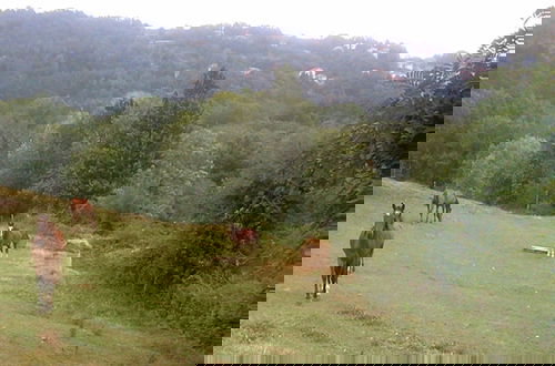 Foto 40 - la debbia ranch
