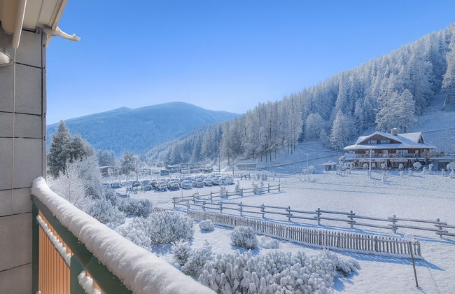 La Primula - Foto 30