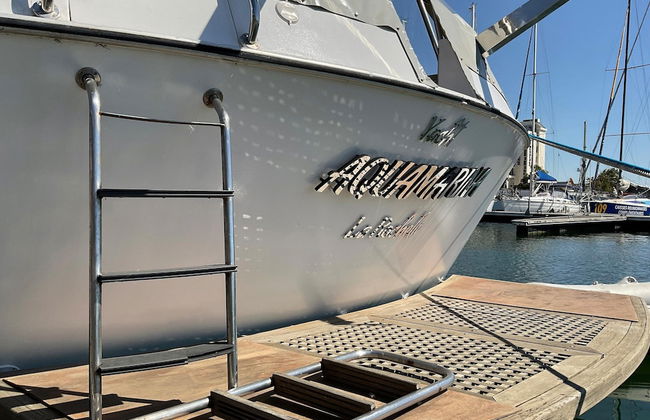 Luxury Yacht in La Rochelle With a Terrace - Foto 49