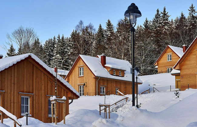 Holiday Homes in the Schierke Harzresort, Schierke - Foto 49