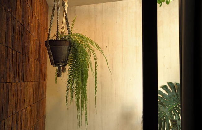 Villa Yahualli - Photo 33
