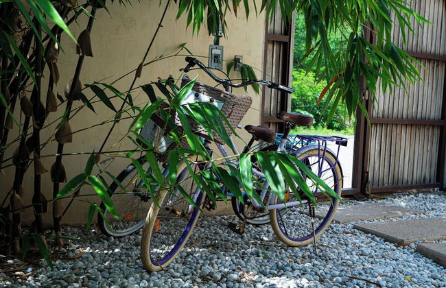 Villa Yahualli - Photo 27
