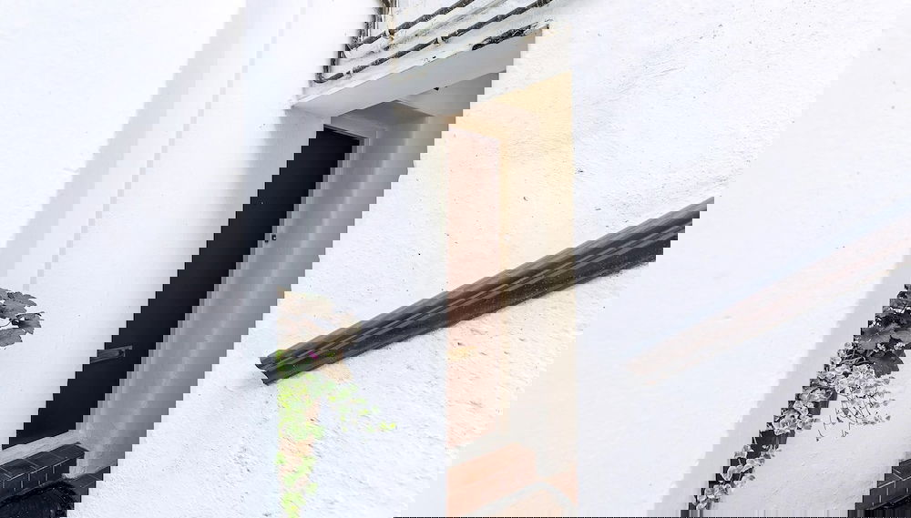 Image principale