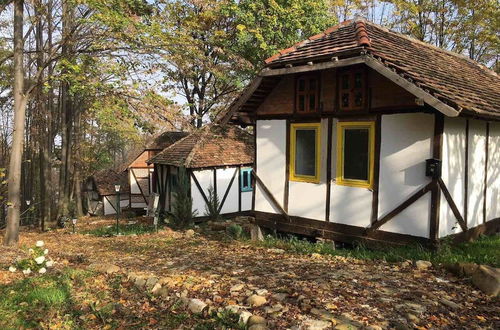 Photo 19 - Immaculate 2-bed Wigwam in Gornji Zovik