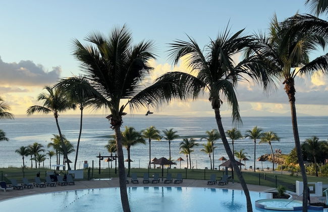 Ti Kaz Funky Host T3 prémium vue mer GD - Foto 28