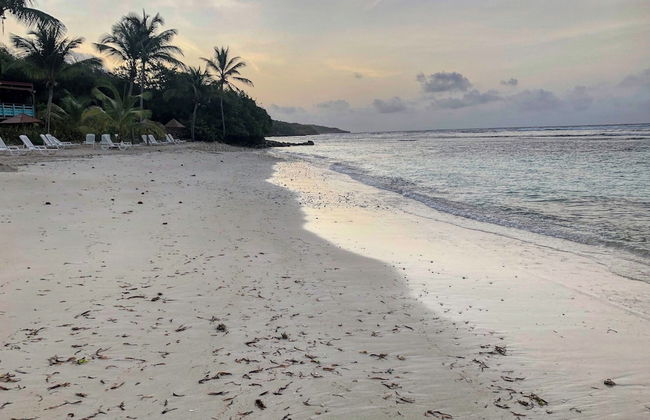 Ti Kaz Funky Host T3 prémium vue mer GD - Foto 41