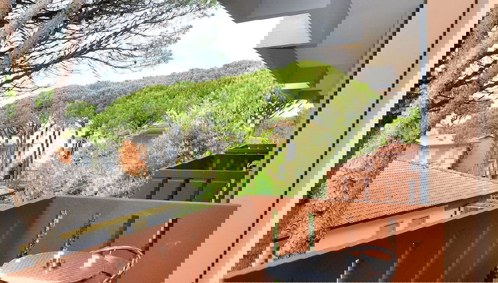 Imagem principal