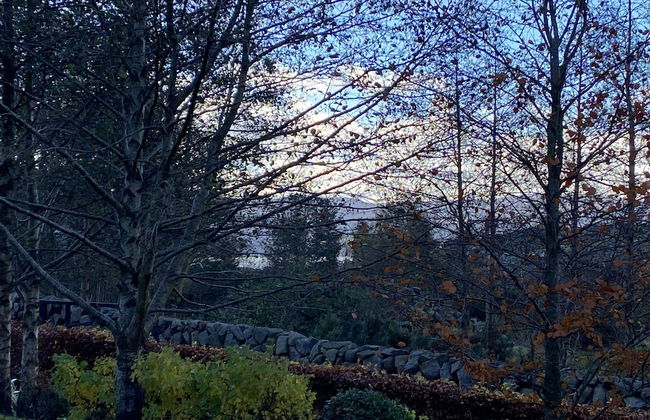 Rostrevor Valley Holiday Park- En-suite Rooms with Hot tub and Private Car Service - Foto 63