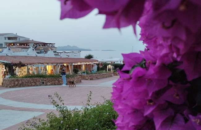 Seaside Apartment Baja Sardinia - 6pl August - 150 m From Smeraldo Beach ! - Photo 30