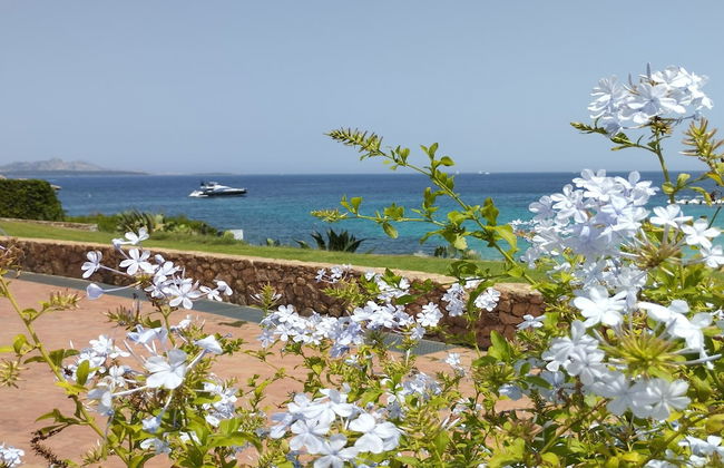 Seaside Apartment Baja Sardinia - 6pl August - 150 m From Smeraldo Beach ! - Photo 31