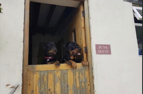 Photo 10 - Characteristic 6-bed Cottage on Exmoor