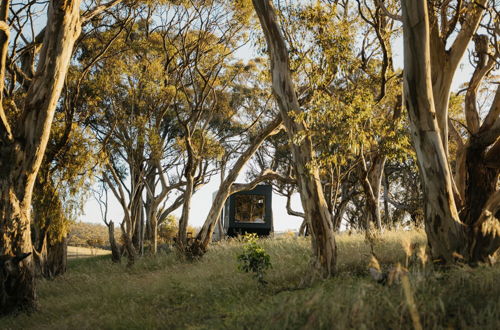 Photo 18 - CABN Clare Valley