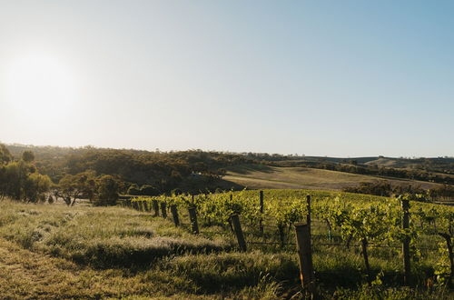 Photo 20 - CABN Clare Valley