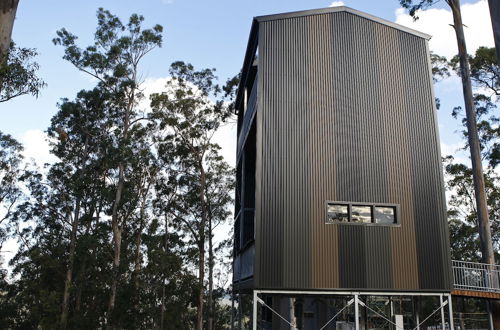 Photo 32 - Gold Coast Tree Houses