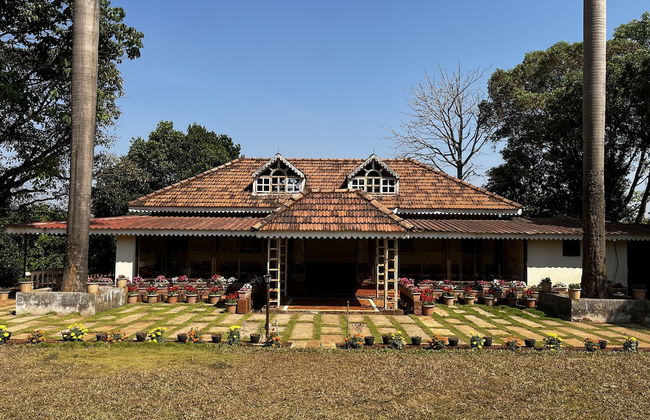 Forest Trails Adventure Resort - Foto 25