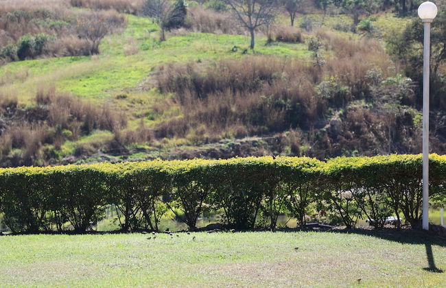 Fazenda Santa Amalia - Photo 76
