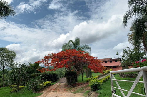 Photo 13 - Fazenda Santa Amalia