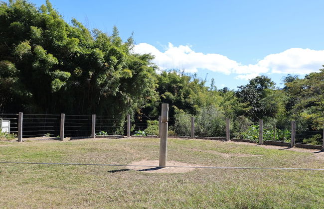 Fazenda Santa Amalia - Photo 75