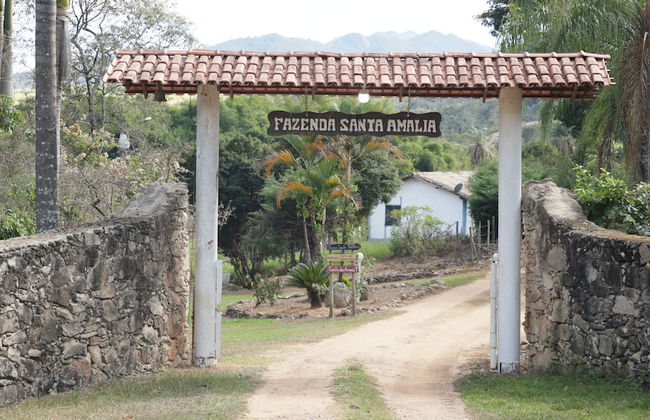 Fazenda Santa Amalia - Foto 9