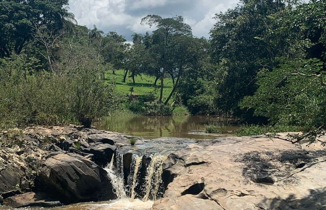 Fazenda Santa Amalia - Photo 65