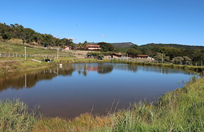Fazenda Santa Amalia - Photo 80