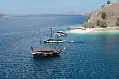 Photo 66 - Komodo Pirate Boat - Phinisi Liveaboard