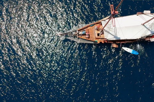 Photo 57 - Komodo Pirate Boat - Phinisi Liveaboard