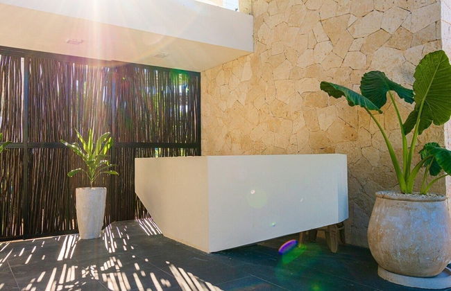 Moots Tulum - Foto 3
