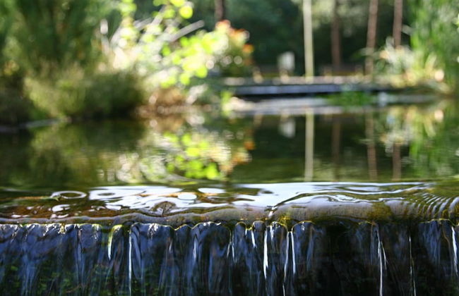 House on Water, Surrounded by Nature - Foto 7