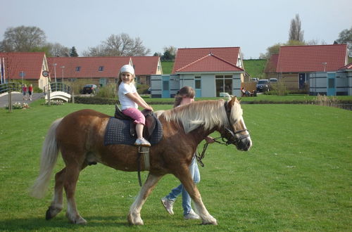 Photo 18 - Child Friendly Villa With Enclosed Garden, Near Hoorn