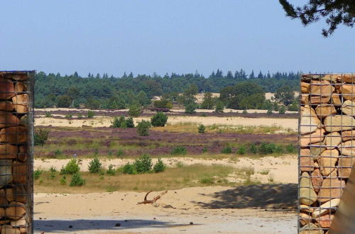 Photo 25 - Chalet Near the Loonse and Drunense Duinen