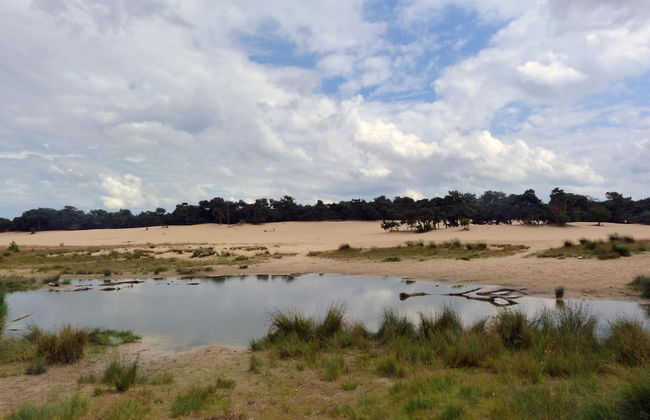 Chalet Near Loonse and Drunense Duinen - Foto 38