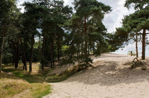 Photo 25 - Chalet Near Loonse and Drunense Duinen