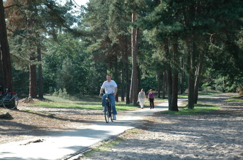 Photo 22 - Chalet Near the Loonse and Drunense Duinen