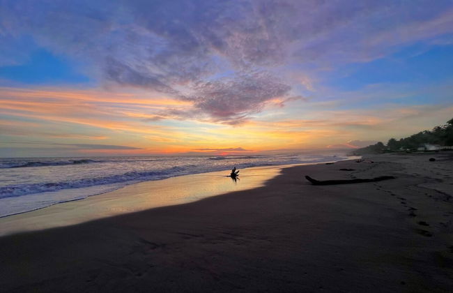 Sofy House - Photo 33