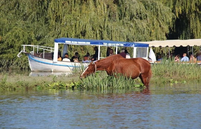 Barco Casa Ollem - Foto 12